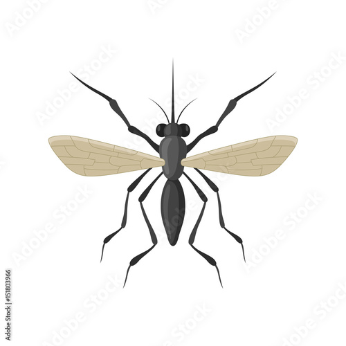 Mosquito icon isolated on white background © Vikivector