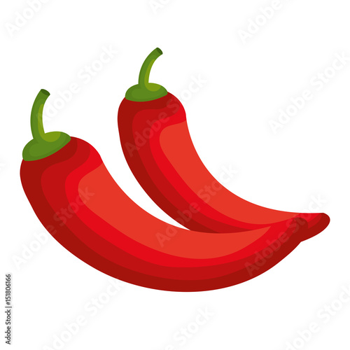 chili pepper isolated icon vector illustration design