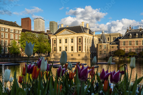 The Hague
