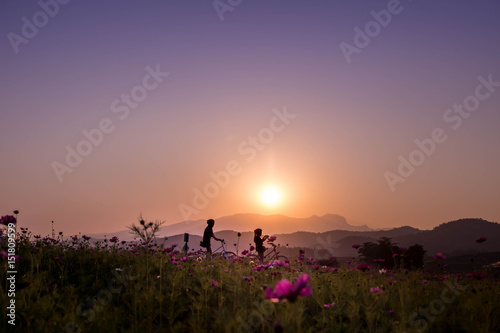 Sunset or sunrise scenery with female on bicycle
