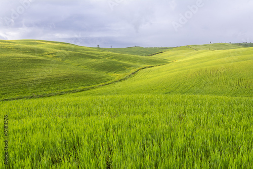 Tuscany landscape