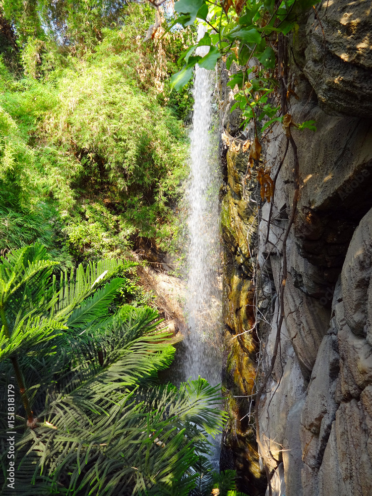 Fototapeta premium Waterfall