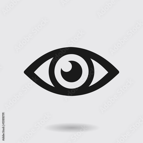 Eye icon. Monitoring and surveillance system. Flat design style.