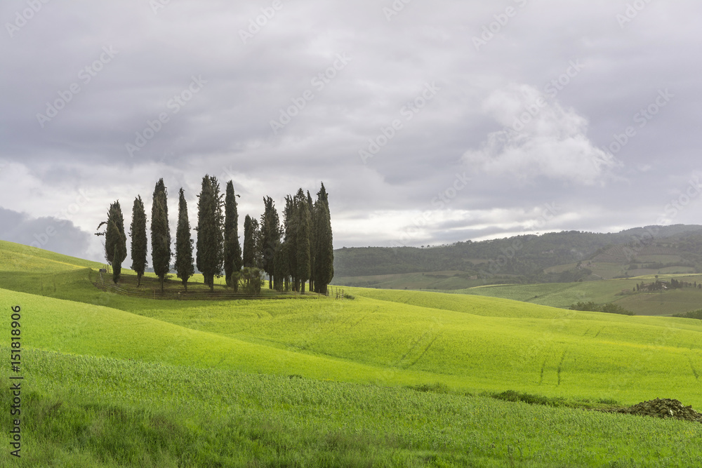 Tuscany landscape