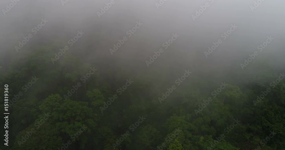 Aerial view of beautiful green hills mountains forest surrounded by clouds Aerial view of beautiful green hills mountains forest surrounded by clouds