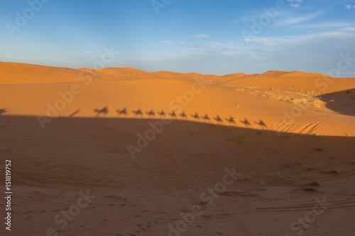 Camel caravan far silhouttes in Sahara desert, Merzouga, Morocco