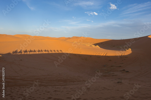 Camel caravan shadows in Erg Chebbi  Merzouga  Morocco