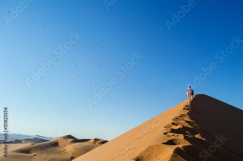 People Climbing Big Daddy Dune  Looking at the Summit and Dozens of Birds  Desert Landscape  Namibia