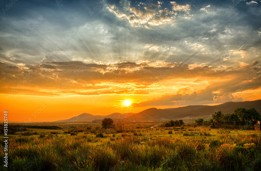 Fototapeta premium Colorful sunset in the summer