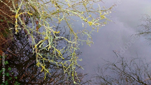 Wandsworth Common January 2017