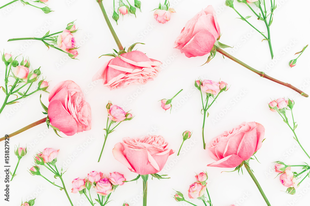 Pink roses, buds and leaves on white background. Flat lay, top view. Floral pattern