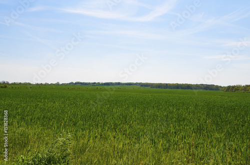 View over green fields in the surrounding countryside of Berlin