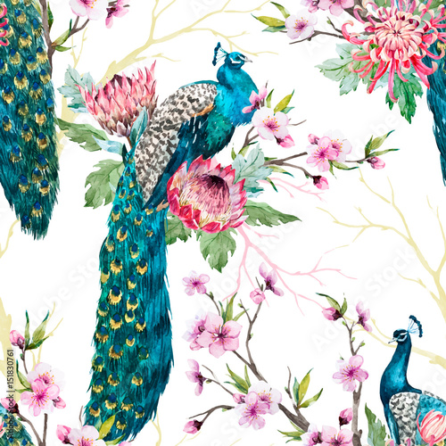 Watercolor peacock vector pattern