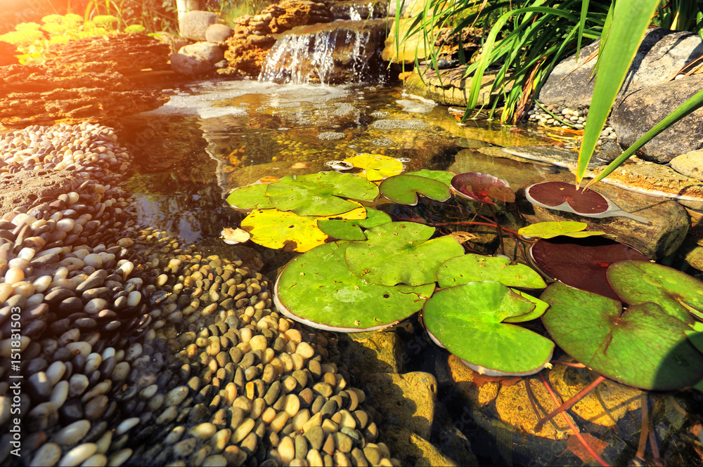beautiful landscaping with beautiful plants beautiful landscaping with beautiful plants