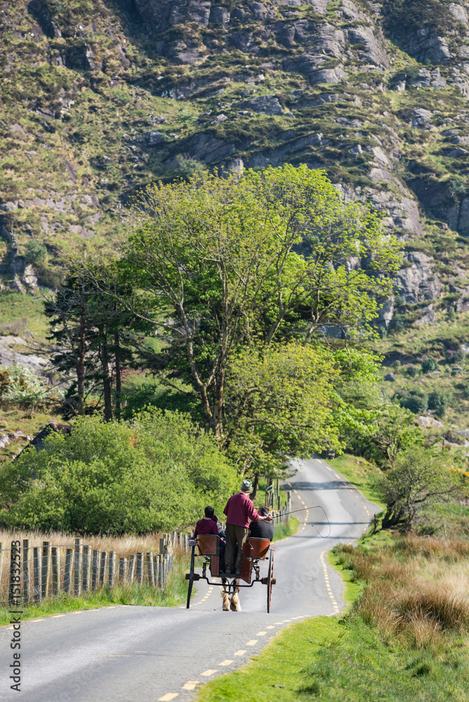 Horse and carriage on the road towards the scenic landscape of the gap of Dunloe in county Kerry, Ireland