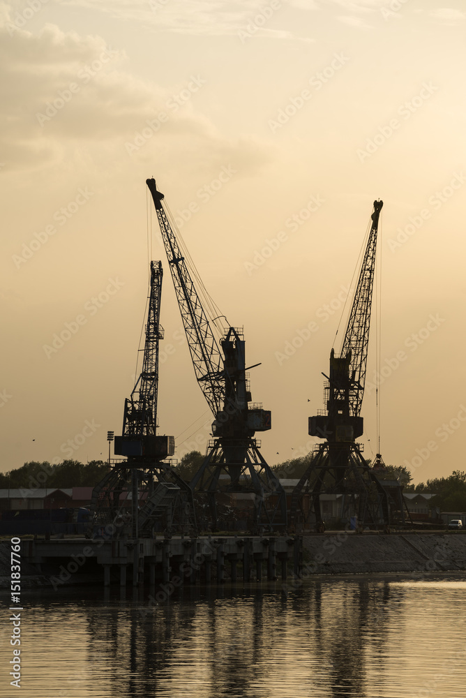 Three Cranes by the river