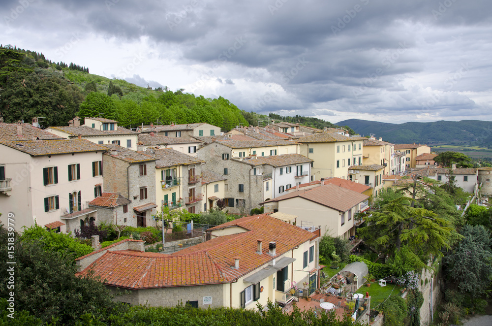 Homes on the Hillside in Cortona, Italy