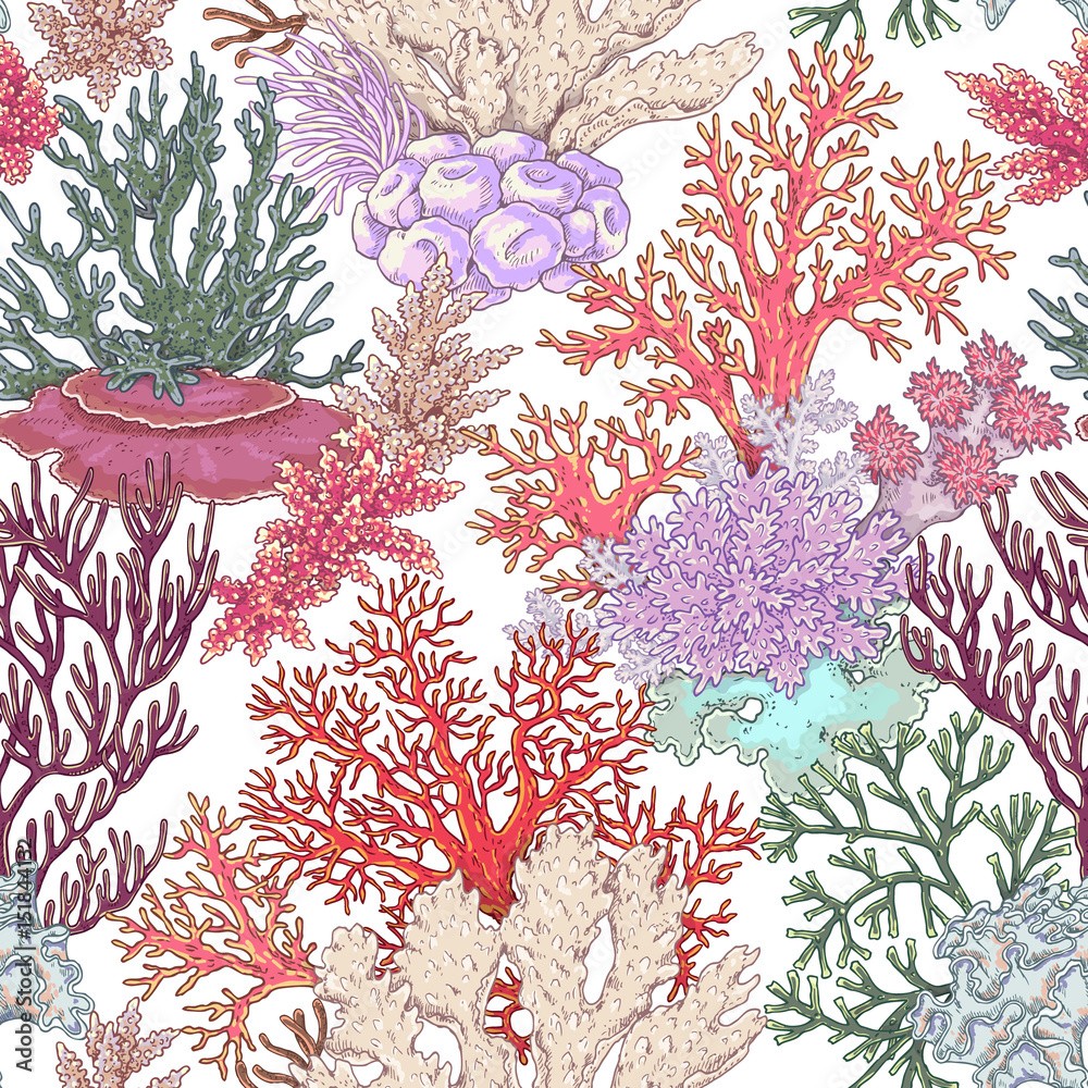 Naklejka premium Coral Reef Pattern