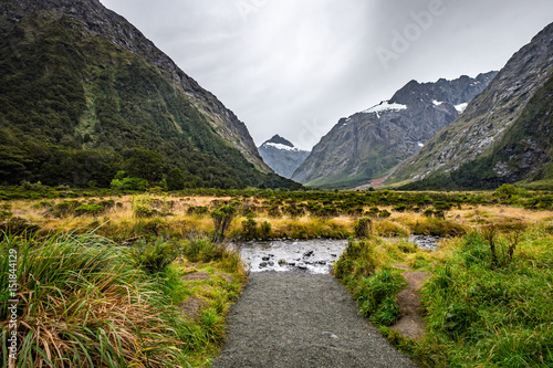 Landscape around Monkey Creek, Milford Sound, New Zealand