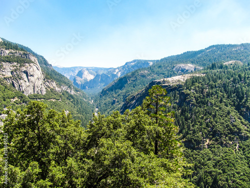 Aerial view of landscape during summer in Yosemite National Park with many pine trees and mountains