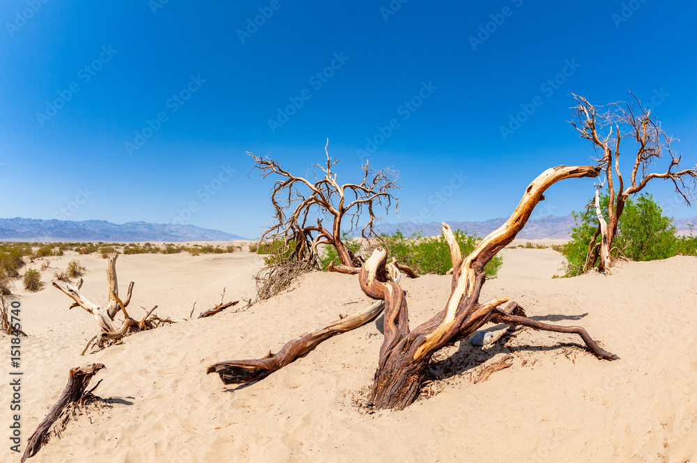 Mesquite Flat Sand Dunes in Death Valley National Park, California, USA Mesquite Flat Sand Dunes in Death Valley National Park, California, USA