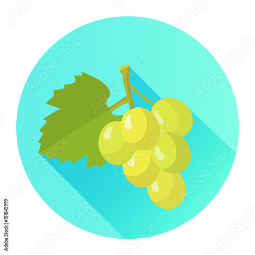 Trauben Icon Flat Design Vektor Grafik Illustration
