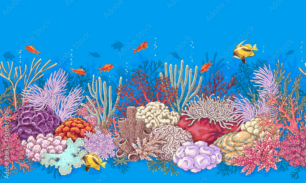 Fototapeta premium Coral Reef and Fishes Pattern