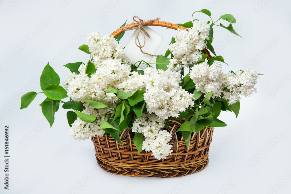 white lilac in a basket with a white tag on white background
