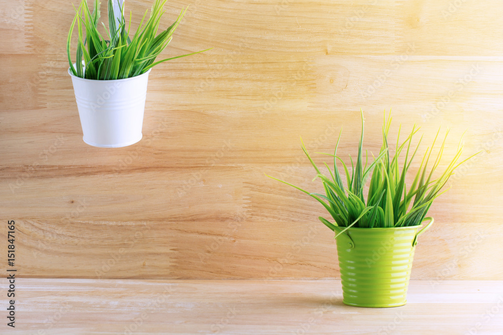 Two of grass plastic in green pot and white pot color with sunshine on wooden backgroun. Two of grass plastic in green pot and white pot color with sunshine on wooden backgroun.