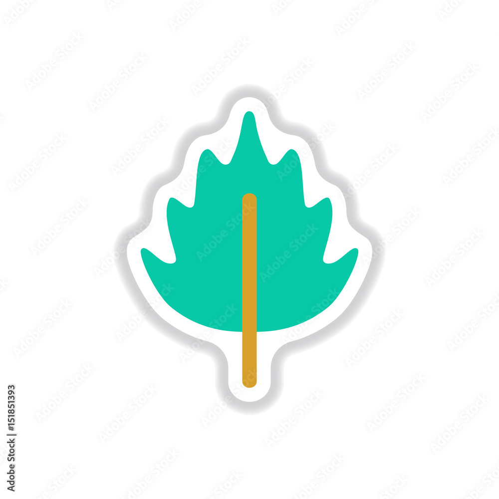Label with leaf shadow vector icon design collection tree leaf Label with leaf shadow vector icon design collection tree leaf