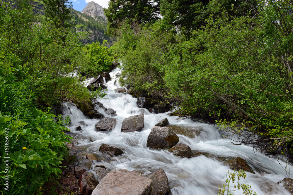 Waterfall cascade and stream in a high elevation forest in Rocky Mountains, a source of clean pure water for hikers and backpackers, though needs filtration before drinking Waterfall cascade and stream in a high elevation forest in Rocky Mountains, a source of clean pure water for hikers and backpackers, though needs filtration before drinking