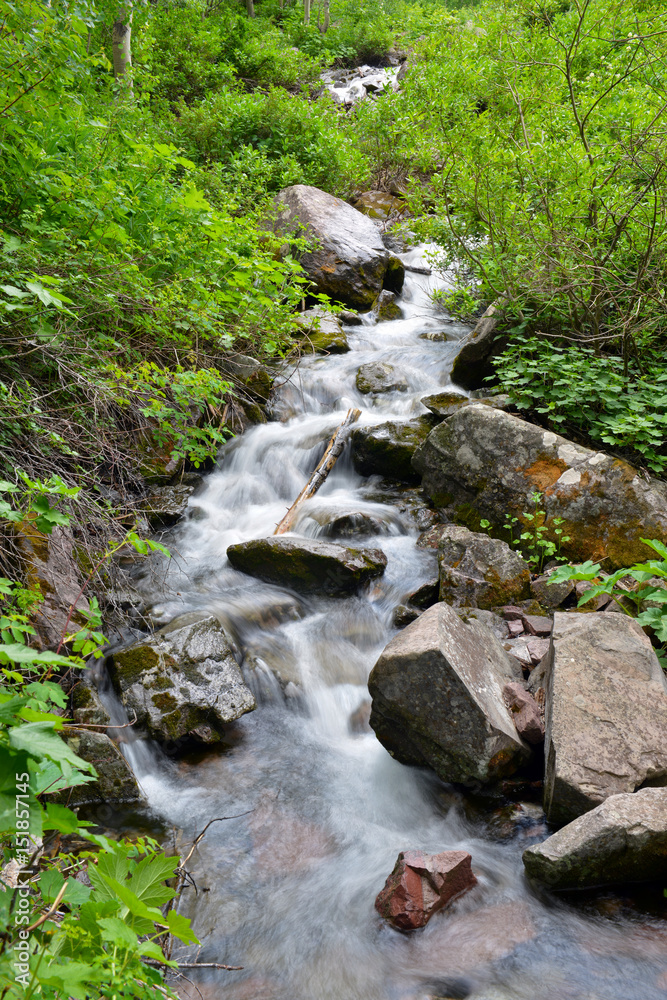 Obraz premium Waterfall cascade and stream in a high elevation forest in Rocky Mountains, a source of clean pure water for hikers and backpackers, though needs filtration before drinking