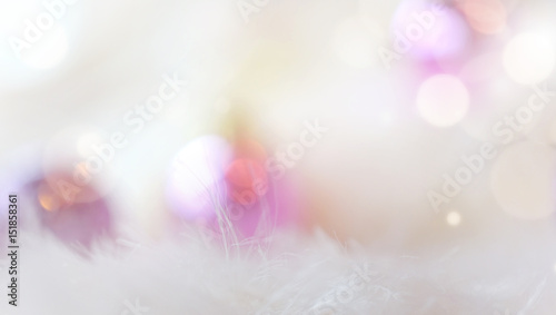 White and pink with soft fur, flares, bokeh, blur background