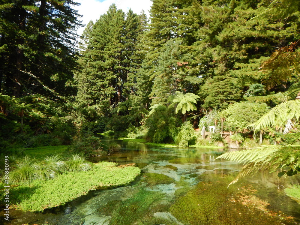 Wald mit Bach