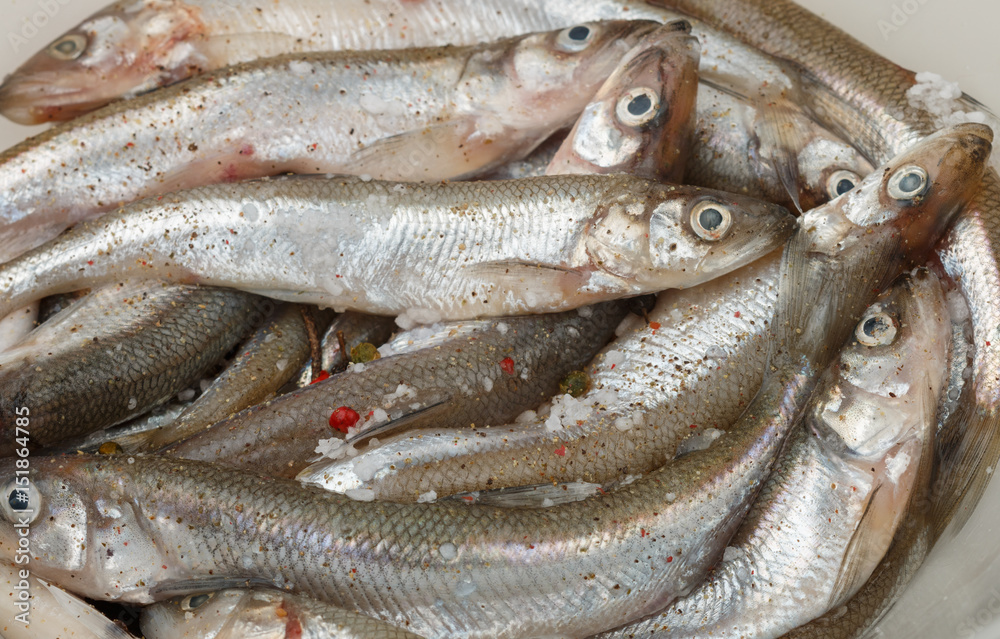 Fresh smelt for frying with spices. Small fish. Selective focus Fresh smelt for frying with spices. Small fish. Selective focus