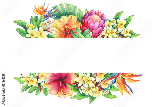 Banner with branches purple protea, plumeria, strelitzia and hibiscus tropical flowers. Horizontal border. Hand drawn watercolor painting on white background. photo