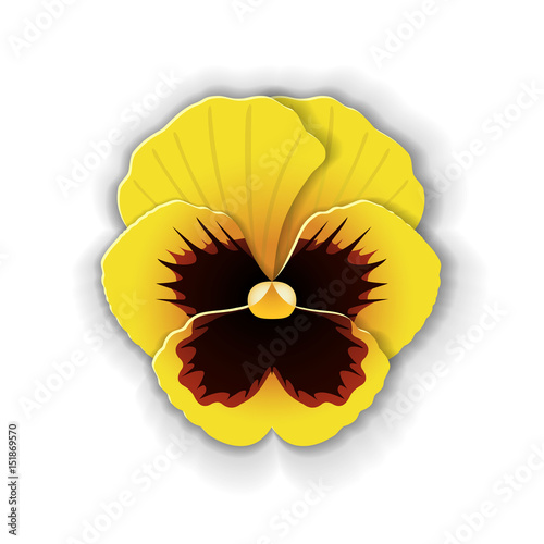 Paper art pansy.