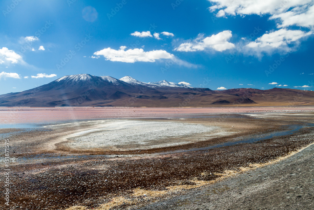 Laguna Colorada lake on bolivian Altiplano Laguna Colorada lake on bolivian Altiplano