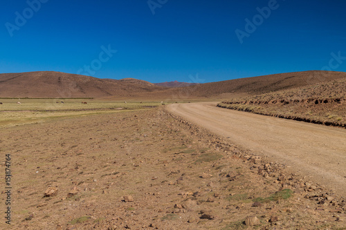 Road at Aguanapampa area at bolivian Altiplano