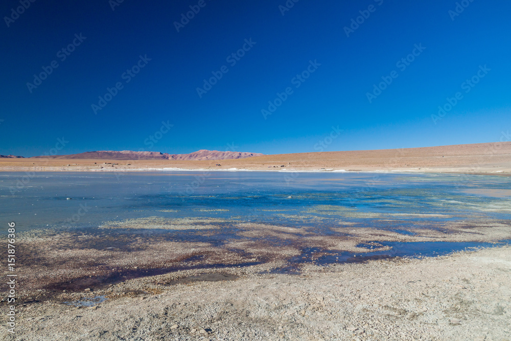 Coast of Laguna Collpa lake in Reserva Nacional de Fauna Andina Eduardo Avaroa protected area, Bolivia Coast of Laguna Collpa lake in Reserva Nacional de Fauna Andina Eduardo Avaroa protected area, Bolivia