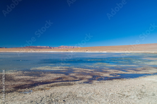 Coast of Laguna Collpa lake in Reserva Nacional de Fauna Andina Eduardo Avaroa protected area, Bolivia