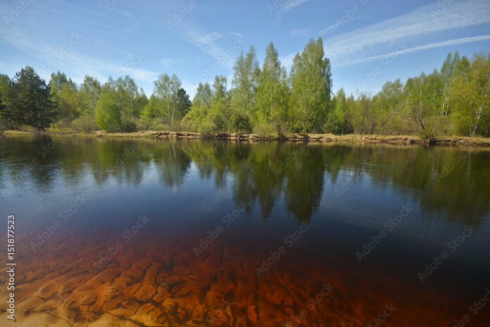Obraz premium Spring in the national park 