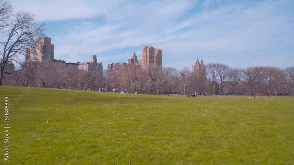 Beautiful meadows and nature at Central Park New York Beautiful meadows and nature at Central Park New York