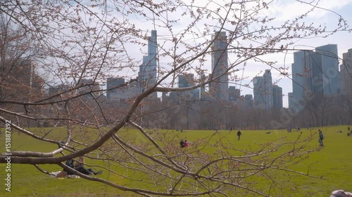 Beautiful meadows and nature at Central Park New York