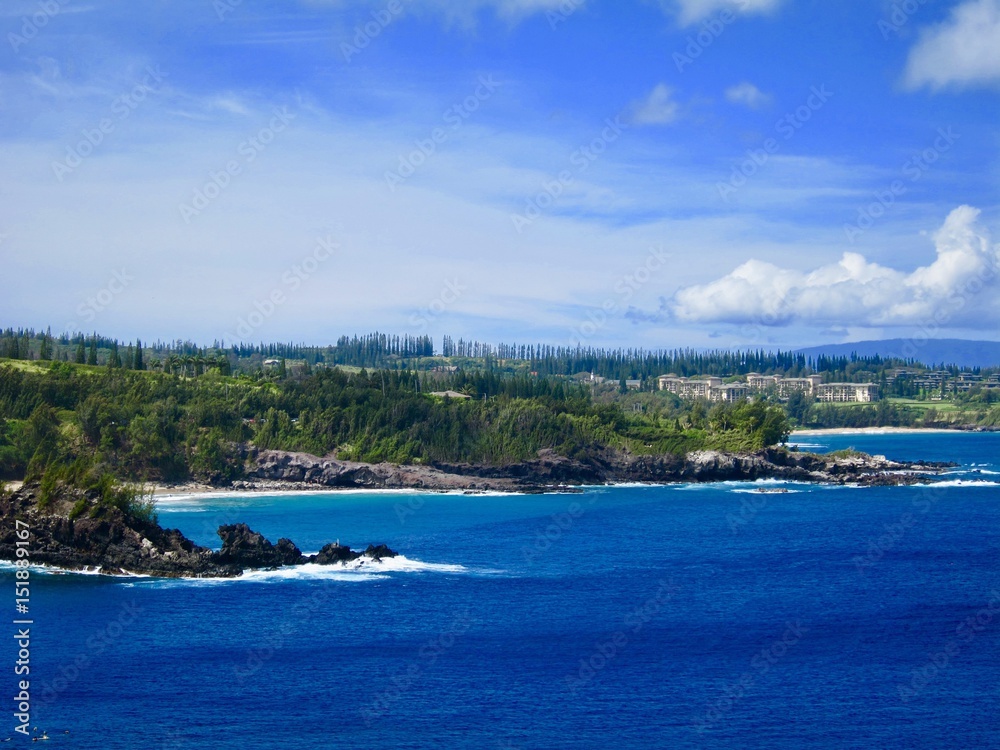 Obraz premium Maui Coast