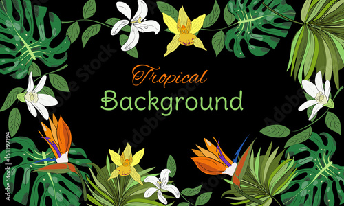Hand drawn tropical background with tropical leaves, flowers on black background.