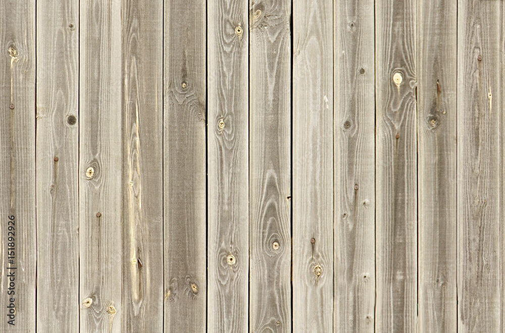 ivory wood texture. Background light old wooden panels seamless ivory wood texture. Background light old wooden panels seamless