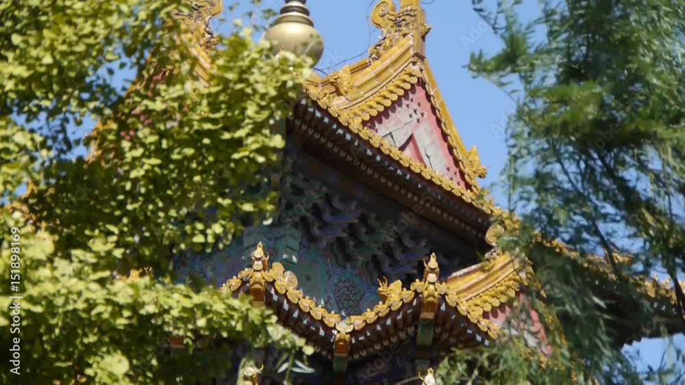 roof of Forbidden City palace.Crown of ginkgo tree & willow.Ancient city Great Wall texture.Weathering of masonry. roof of Forbidden City palace.Crown of ginkgo tree & willow.Ancient city Great Wall texture.Weathering of masonry.