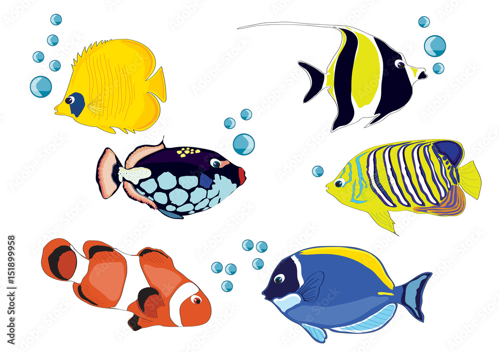 Naklejka premium drawing fishes, illustration, fish crown, yellow fish, blue fish, red fish