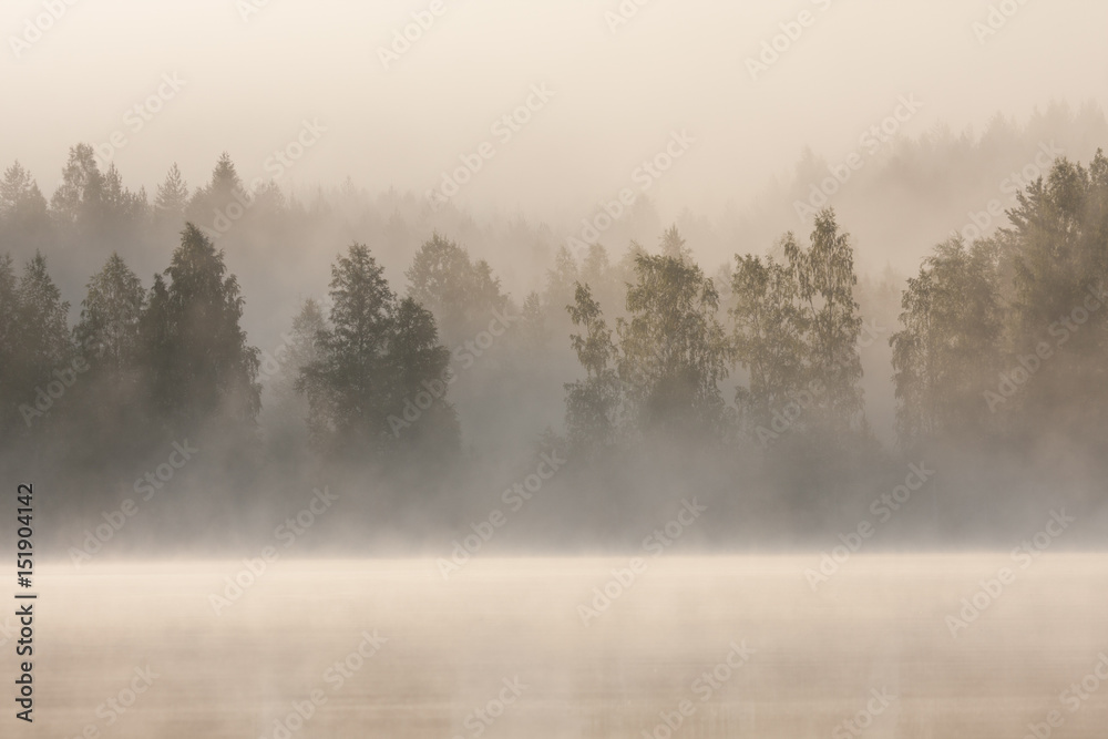 Foggy forest and lake at dawn 